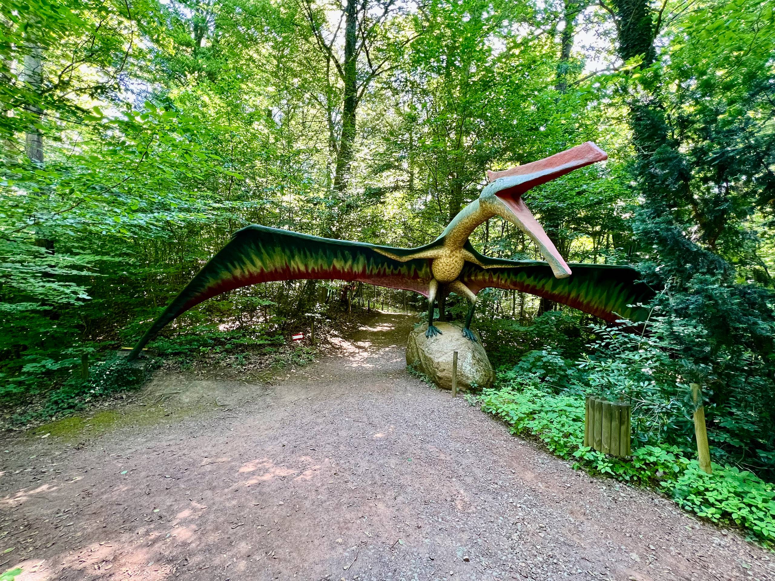 2025 Bad Gleichenberg   148